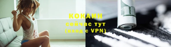 гашик Инсар