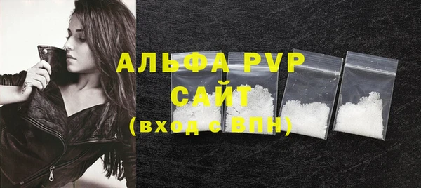 гашик Инсар