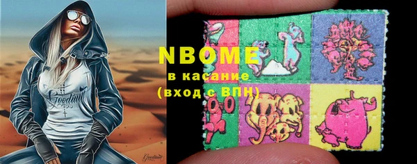 гашик Инсар