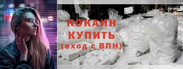 гашик Инсар