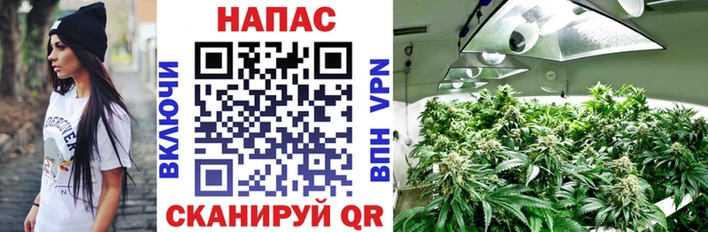 Конопля семена  Оренбург 